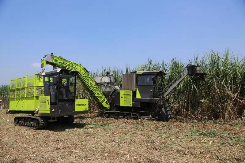 世界杯投注-世界杯足球投注平台  世界杯投注平台支持全程赛事竞猜，数据同步、赔率实时更新，是球迷畅玩世界杯足球投注的理想选择。