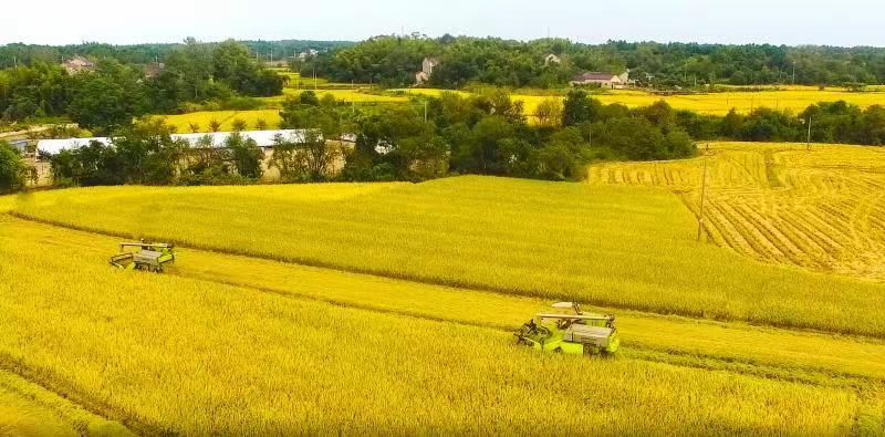世界杯投注-世界杯足球投注平台 世界杯投注平台支持全程赛事竞猜,数据同步、赔率实时更新,是球迷畅玩世界杯足球投注的理想选择。