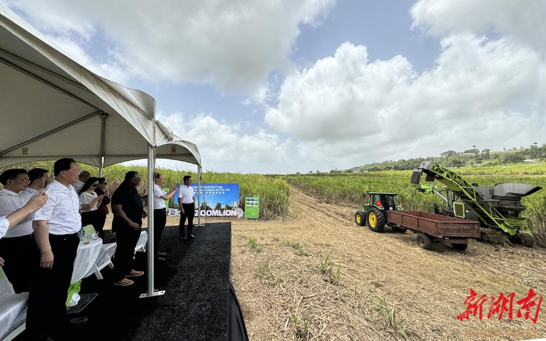 世界杯投注-世界杯足球投注平台  世界杯投注平台支持全程赛事竞猜，数据同步、赔率实时更新，是球迷畅玩世界杯足球投注的理想选择。