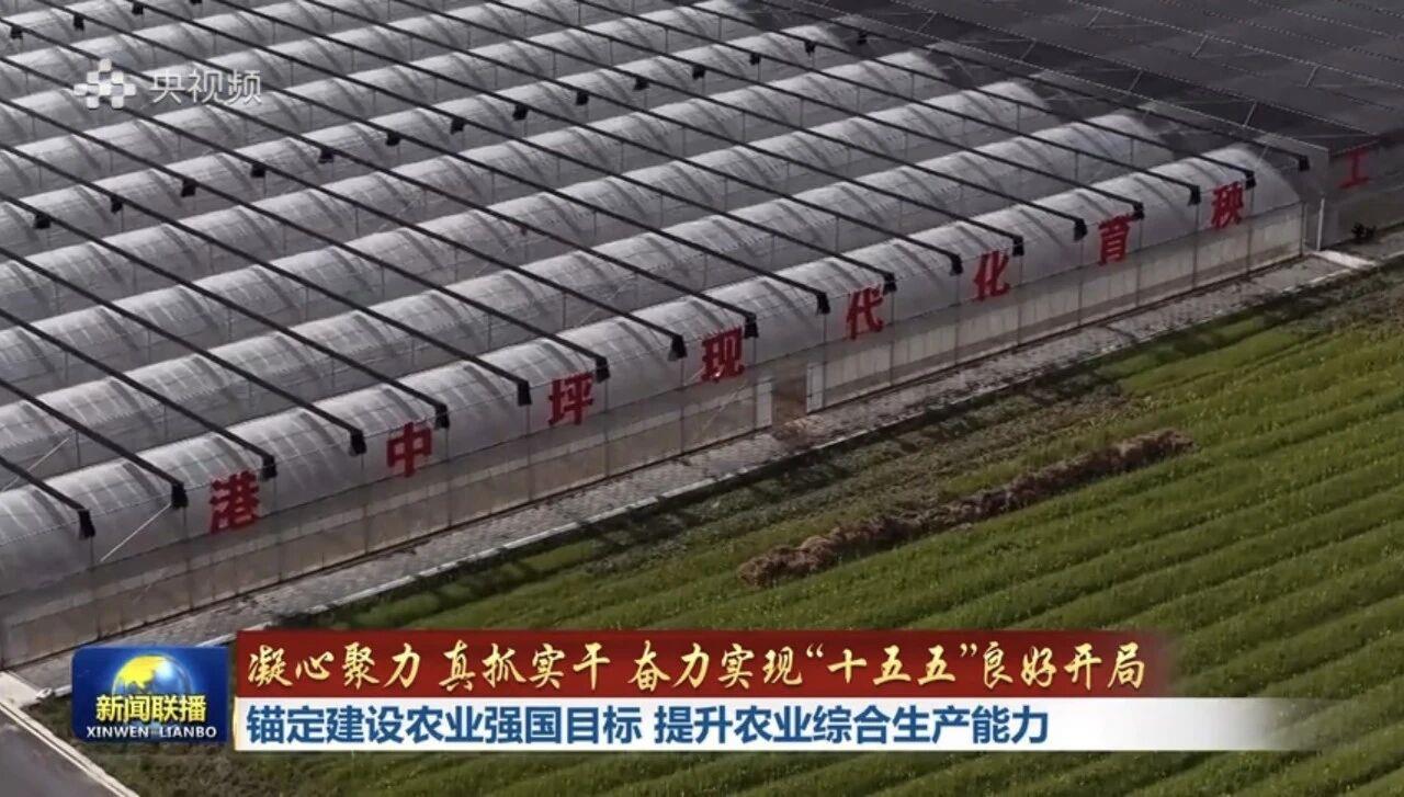 世界杯投注-世界杯足球投注平台  世界杯投注平台支持全程赛事竞猜，数据同步、赔率实时更新，是球迷畅玩世界杯足球投注的理想选择。