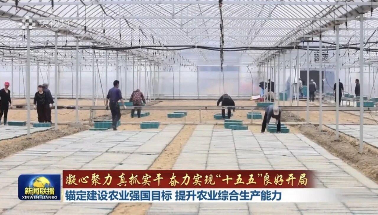 世界杯投注-世界杯足球投注平台  世界杯投注平台支持全程赛事竞猜，数据同步、赔率实时更新，是球迷畅玩世界杯足球投注的理想选择。