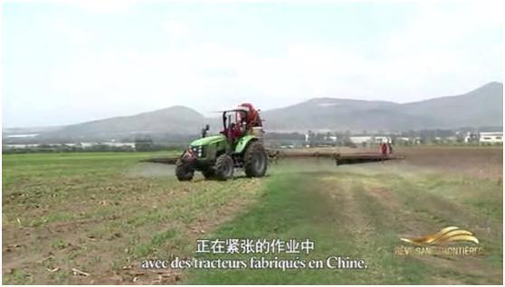 世界杯投注-世界杯足球投注平台  世界杯投注平台支持全程赛事竞猜，数据同步、赔率实时更新，是球迷畅玩世界杯足球投注的理想选择。