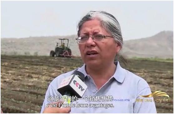 世界杯投注-世界杯足球投注平台  世界杯投注平台支持全程赛事竞猜，数据同步、赔率实时更新，是球迷畅玩世界杯足球投注的理想选择。