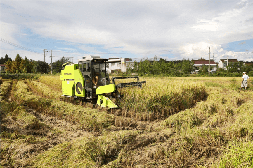 世界杯投注-世界杯足球投注平台  世界杯投注平台支持全程赛事竞猜，数据同步、赔率实时更新，是球迷畅玩世界杯足球投注的理想选择。