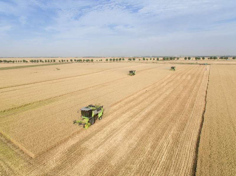世界杯投注-世界杯足球投注平台  世界杯投注平台支持全程赛事竞猜，数据同步、赔率实时更新，是球迷畅玩世界杯足球投注的理想选择。