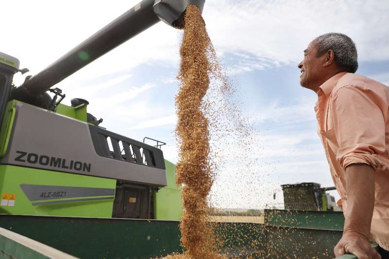 世界杯投注-世界杯足球投注平台  世界杯投注平台支持全程赛事竞猜，数据同步、赔率实时更新，是球迷畅玩世界杯足球投注的理想选择。