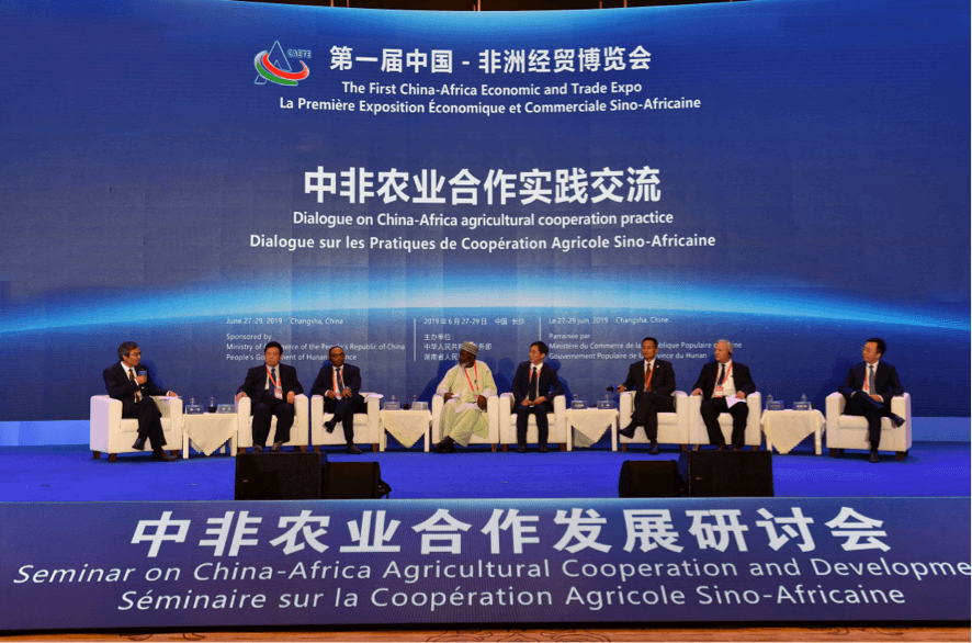 世界杯投注-世界杯足球投注平台  世界杯投注平台支持全程赛事竞猜，数据同步、赔率实时更新，是球迷畅玩世界杯足球投注的理想选择。